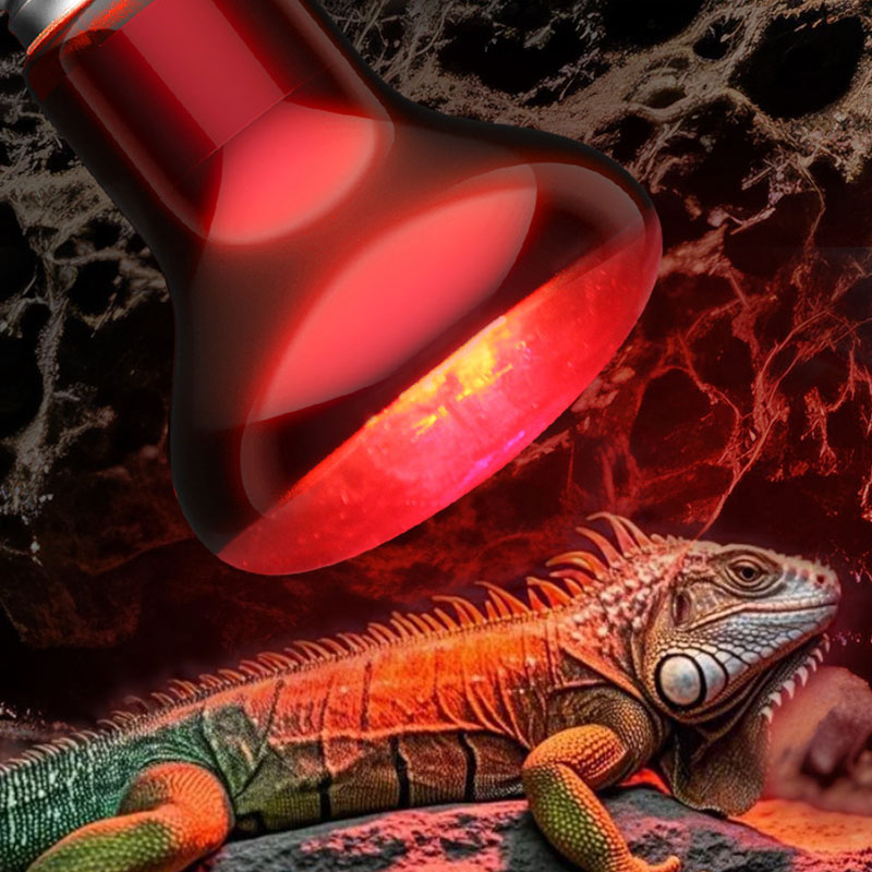Gecko Lighting & Decor - Żarówka grzewcza dla gadów 100V/220V, żarówka